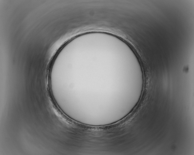 X0000116331511200912151254