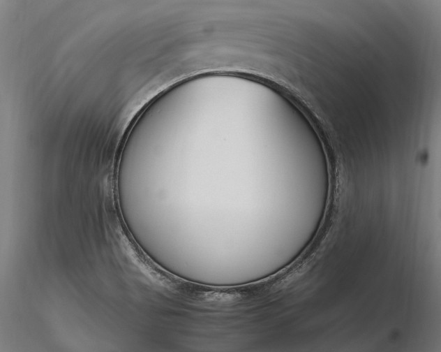 X0000116331513200912151254