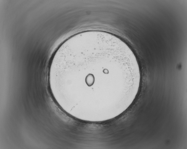 X0000116331514200912151254