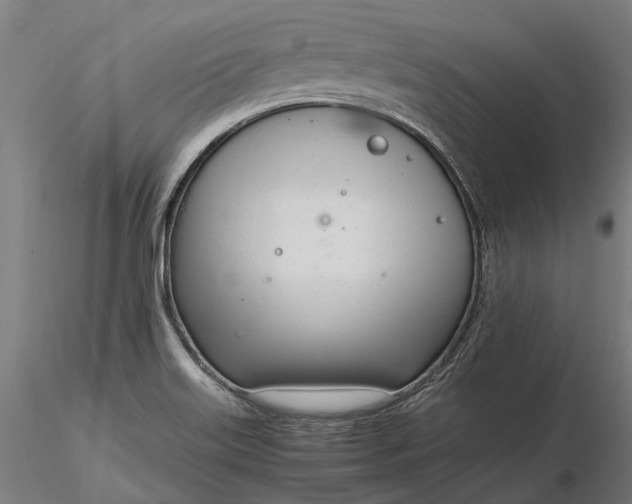 X0000116331515200912151254