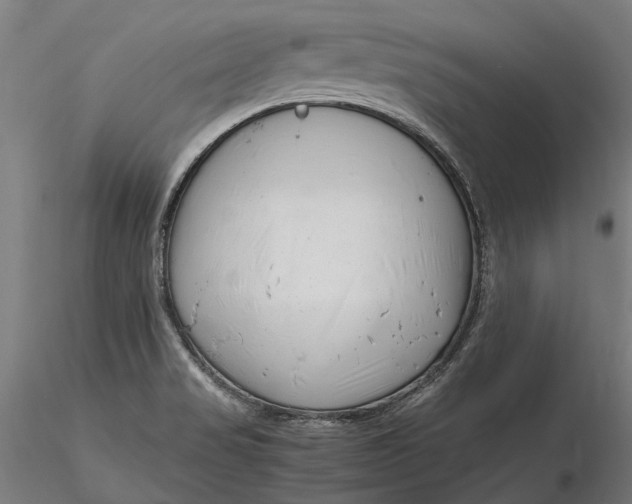 X0000116331517200912151254