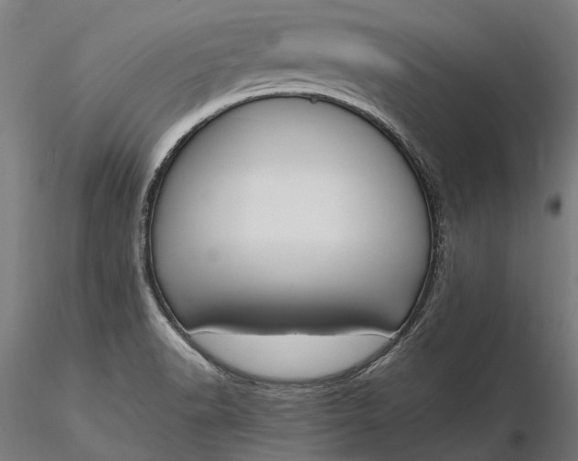 X0000116331518200912151254