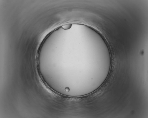 X0000116331519200912151254