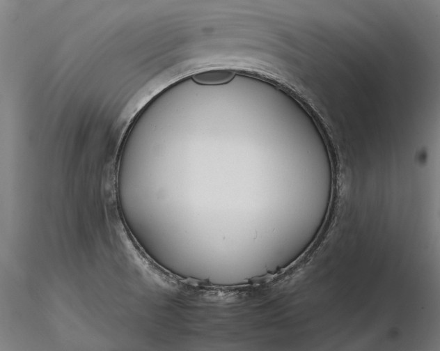 X0000116331521200912151254