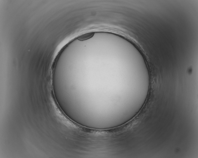 X0000116331522200912151254