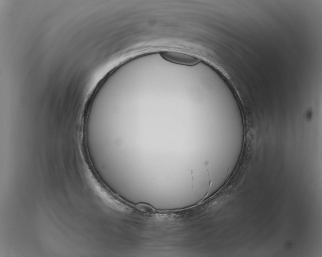 X0000116331523200912151254