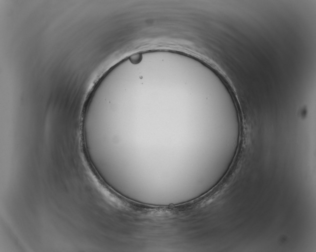 X0000116331525200912151254