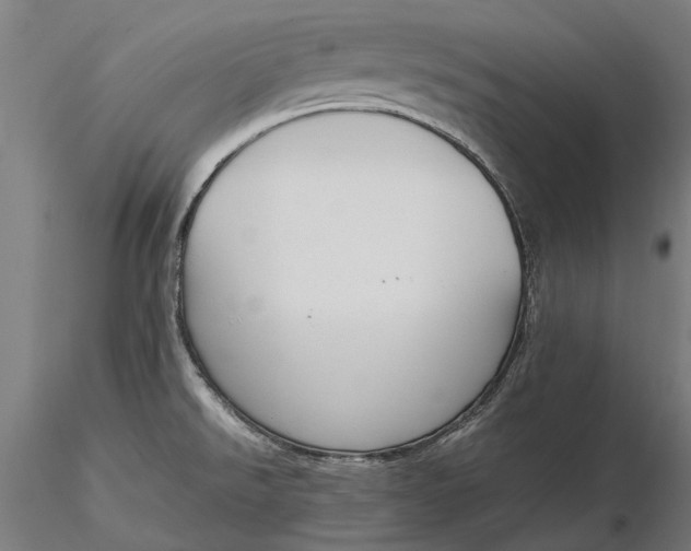 X0000116331526200912151254