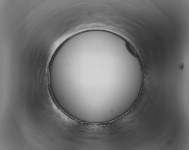 X0000116331527200912151254