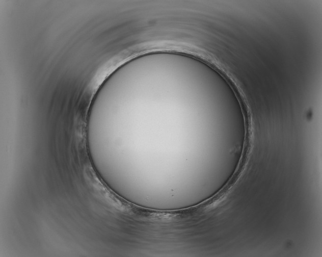 X0000116331529200912151254