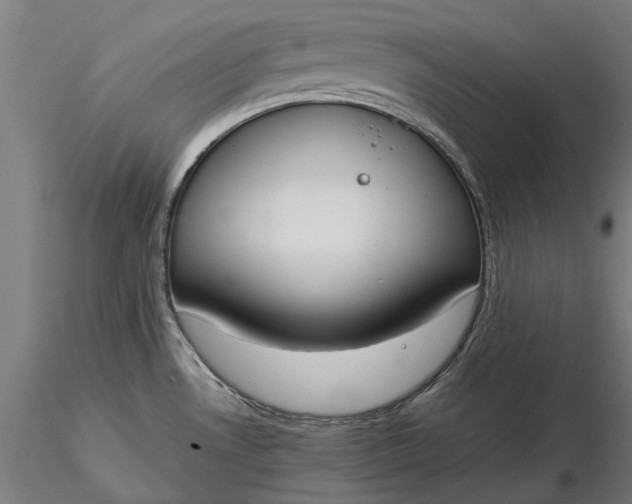 X0000116331530200912151254
