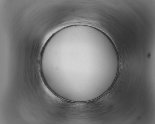 X0000116331531200912151254
