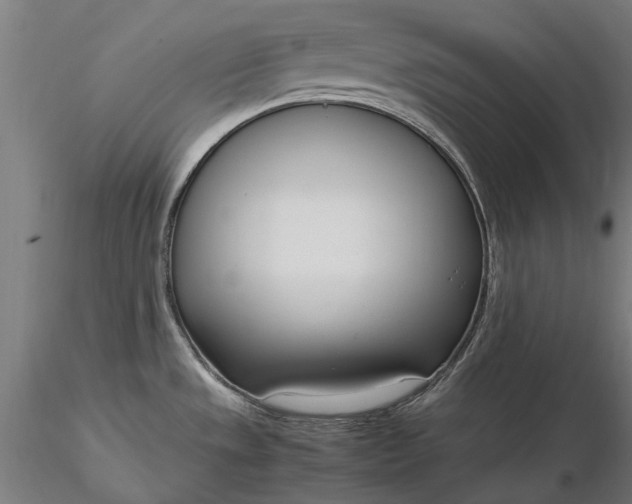 X0000116331533200912151254