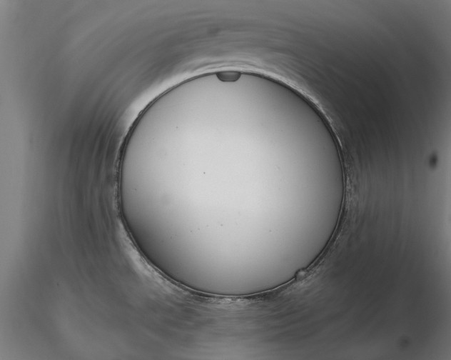 X0000116331534200912151254