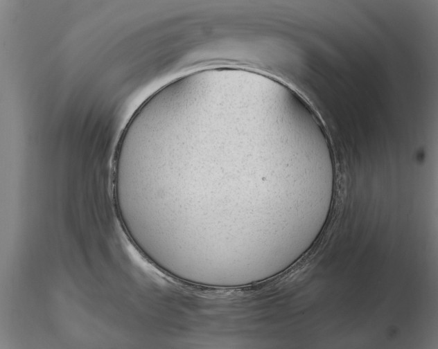 X0000116331535200912151254