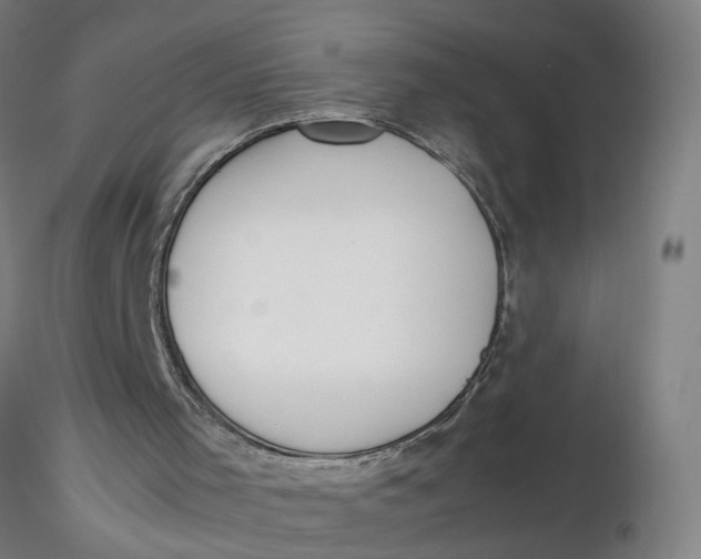 X0000116330001200912221430