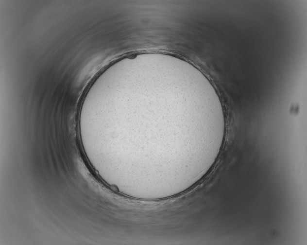 X0000116330002200912221429