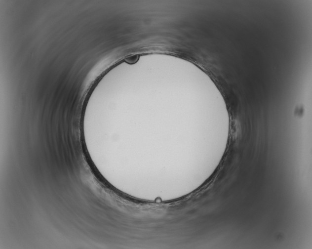 X0000116330004200912221429