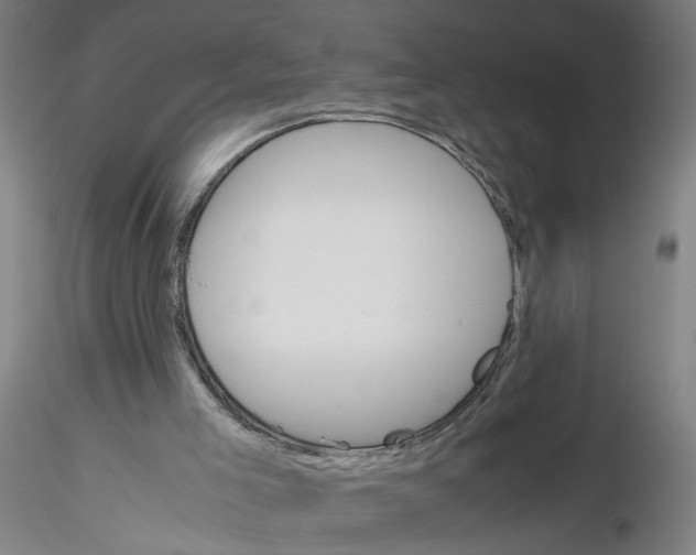 X0000116330005200912221429