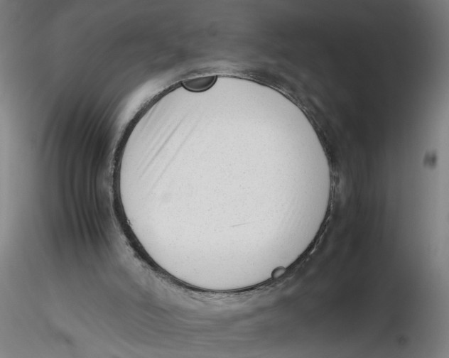 X0000116330006200912221429