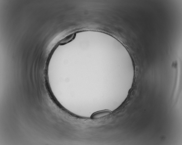 X0000116330007200912221429