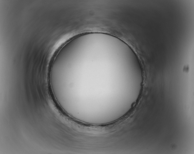 X0000116330008200912221429