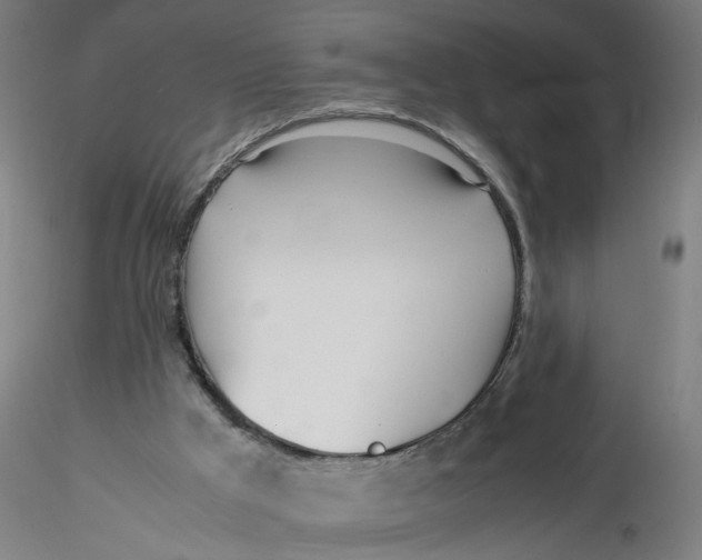 X0000116330009200912221429