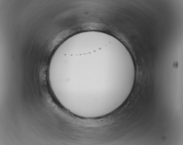 X0000116330010200912221429