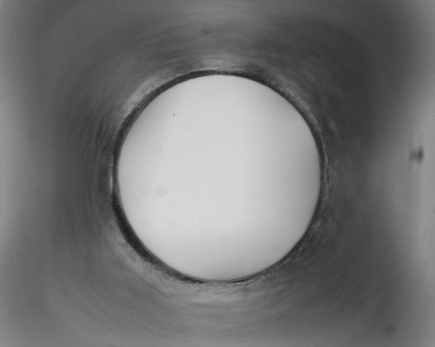 X0000116330011200912221429