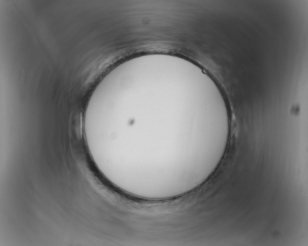 X0000116330013200912221429