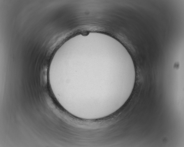 X0000116330014200912221429