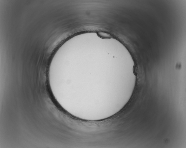 X0000116330015200912221429