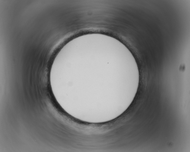 X0000116330016200912221429