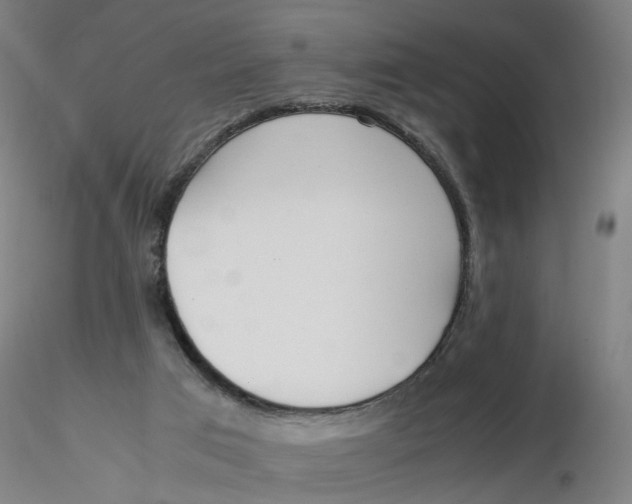 X0000116330017200912221429