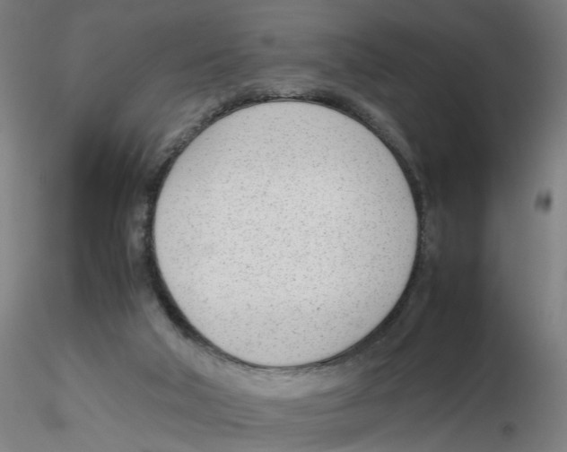 X0000116330018200912221429