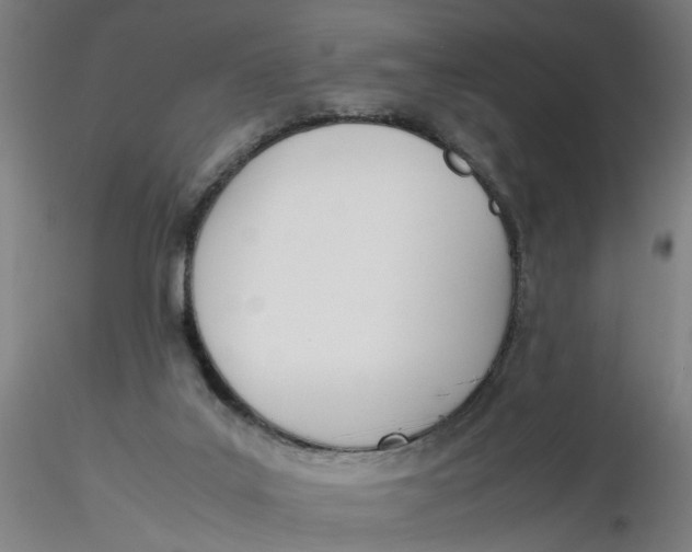 X0000116330019200912221429