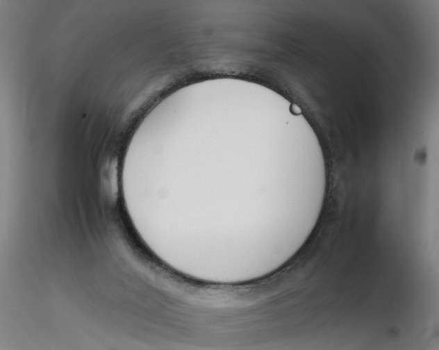 X0000116330020200912221429