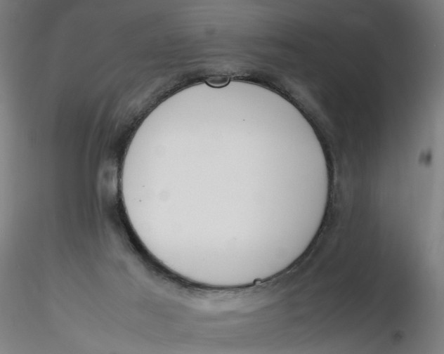 X0000116330021200912221429