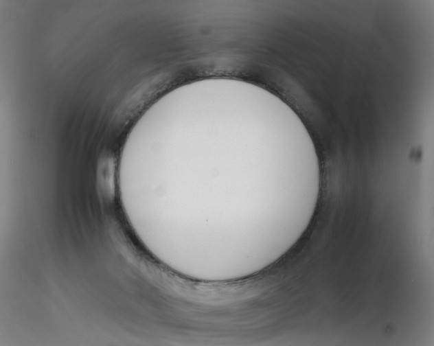 X0000116330022200912221429