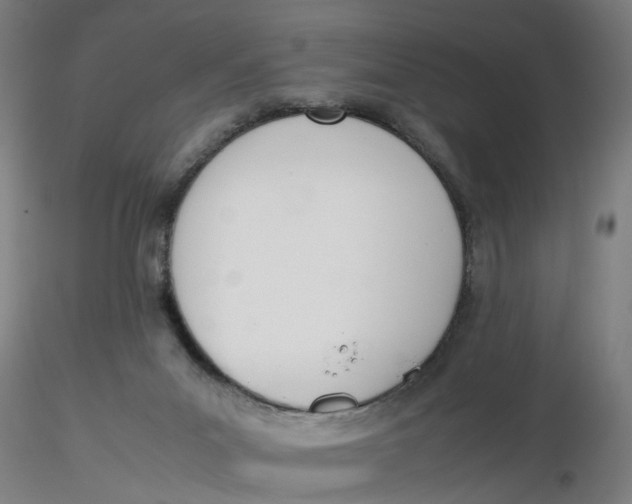 X0000116330023200912221429