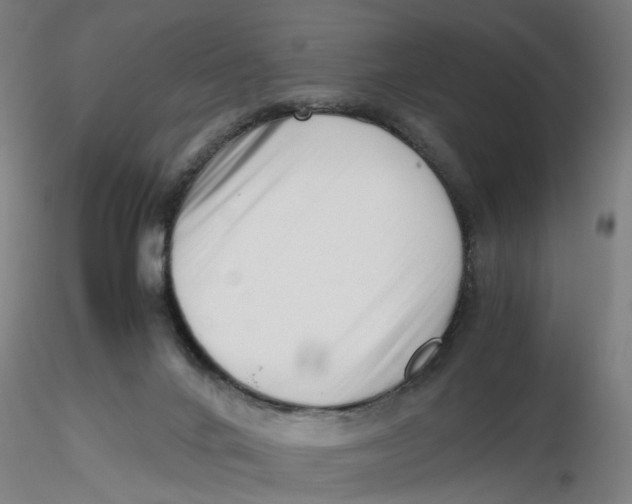 X0000116330024200912221429