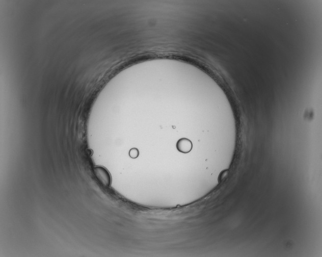 X0000116330025200912221429