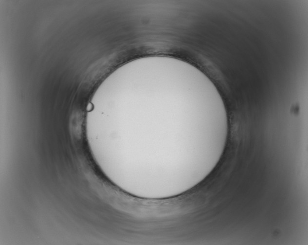 X0000116330026200912221429