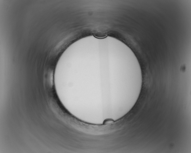 X0000116330027200912221429