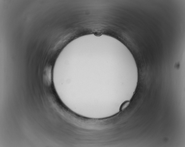 X0000116330028200912221429