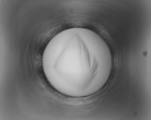 X0000116330029200912221429