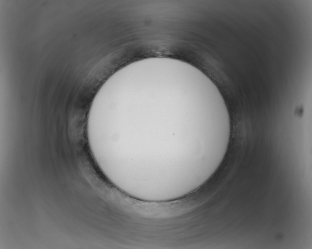 X0000116330030200912221429