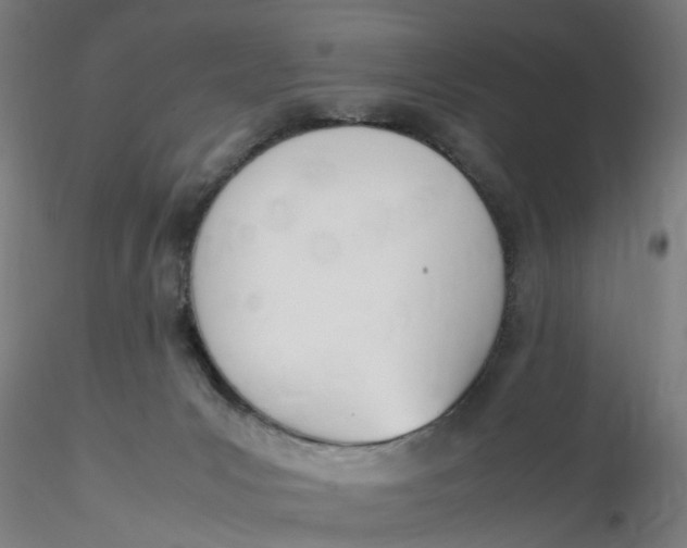 X0000116330031200912221429