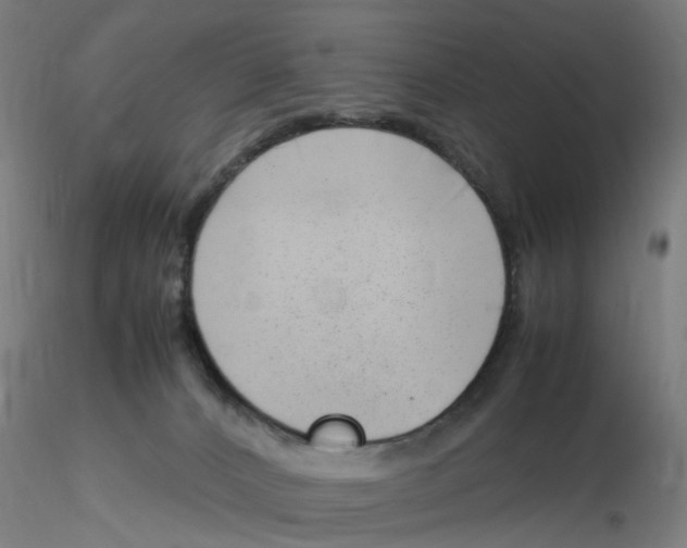 X0000116330032200912221429