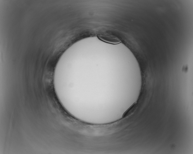 X0000116330033200912221429